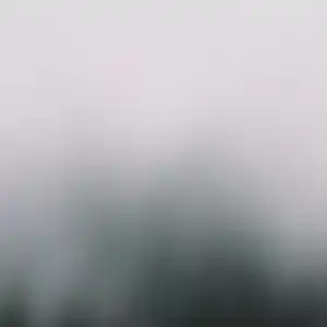 GUARANA
